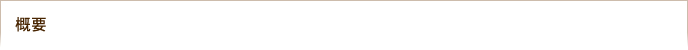 概要